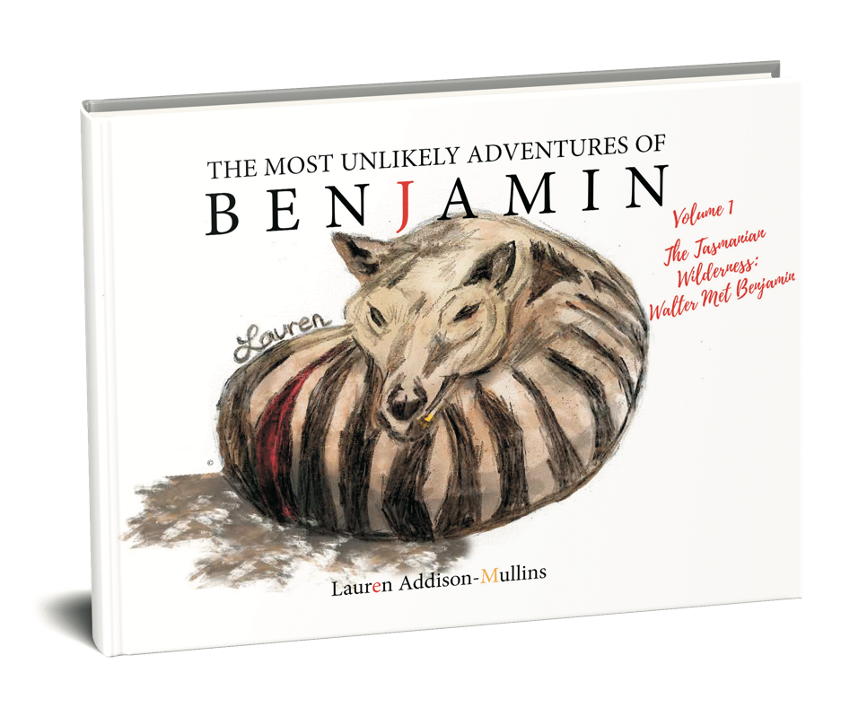 The most unlikely adventures of benjamin, the book